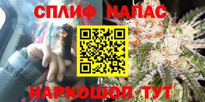 гидра Кулебаки