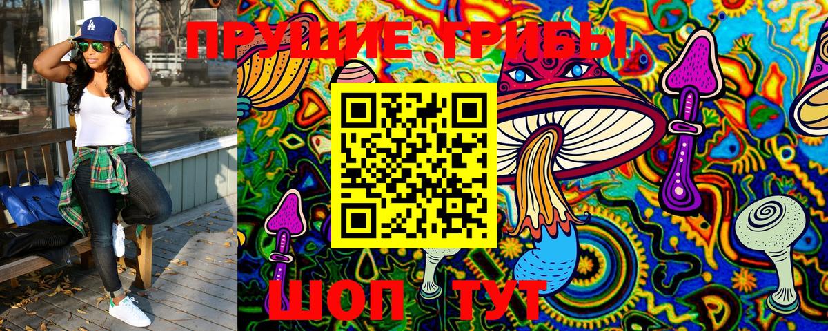 Псилоцибиновые грибы GOLDEN TEACHER Домодедово